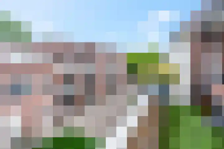 Meijer van Leeuwenstraat 13 Oss thumbnail 13