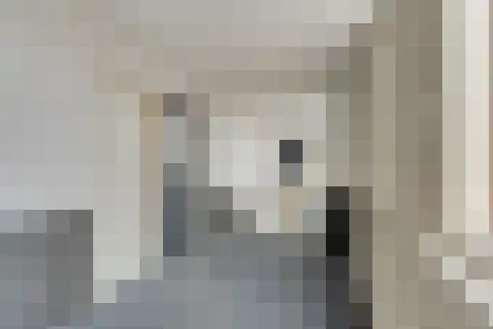 Meijer van Leeuwenstraat 13 Oss thumbnail 16