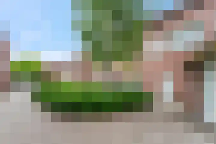 Meijer van Leeuwenstraat 13 Oss thumbnail 20