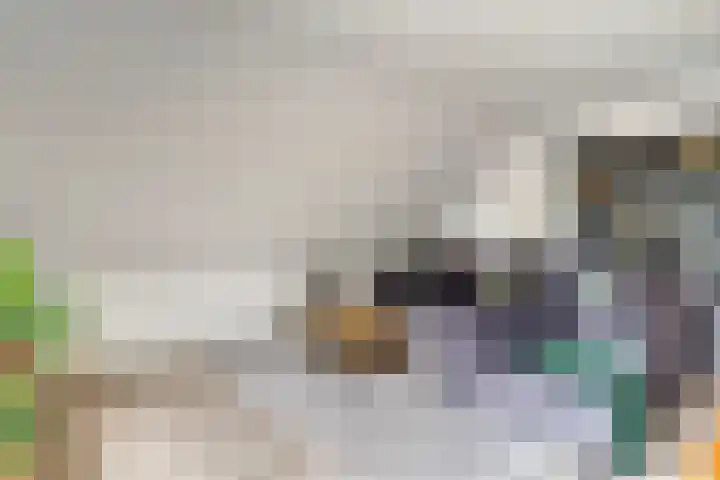 Meijer van Leeuwenstraat 13 Oss thumbnail 4