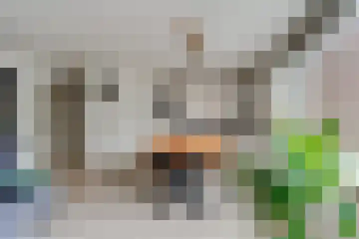 Meijer van Leeuwenstraat 13 Oss thumbnail 5