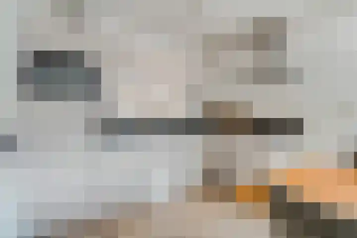 Meijer van Leeuwenstraat 13 Oss thumbnail 6