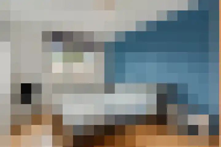 Meijer van Leeuwenstraat 13 Oss thumbnail 9