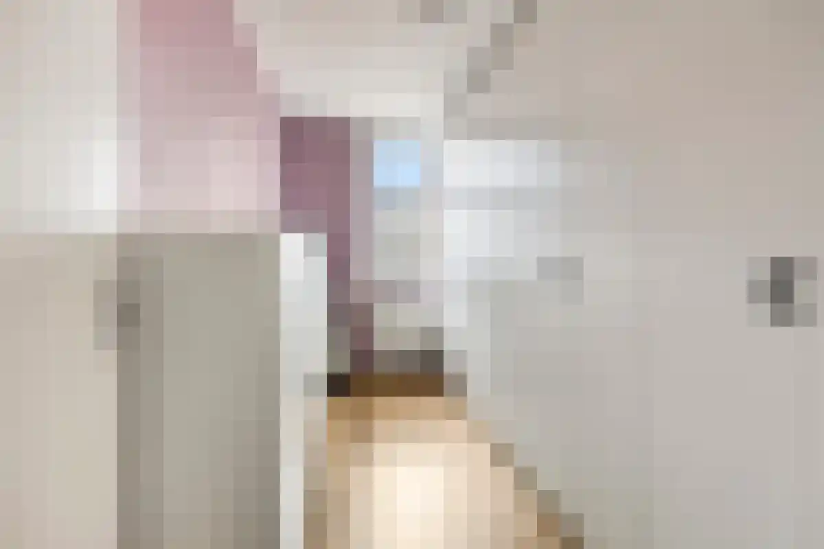 Meijer van Leeuwenstraat 17 Oss thumbnail 11