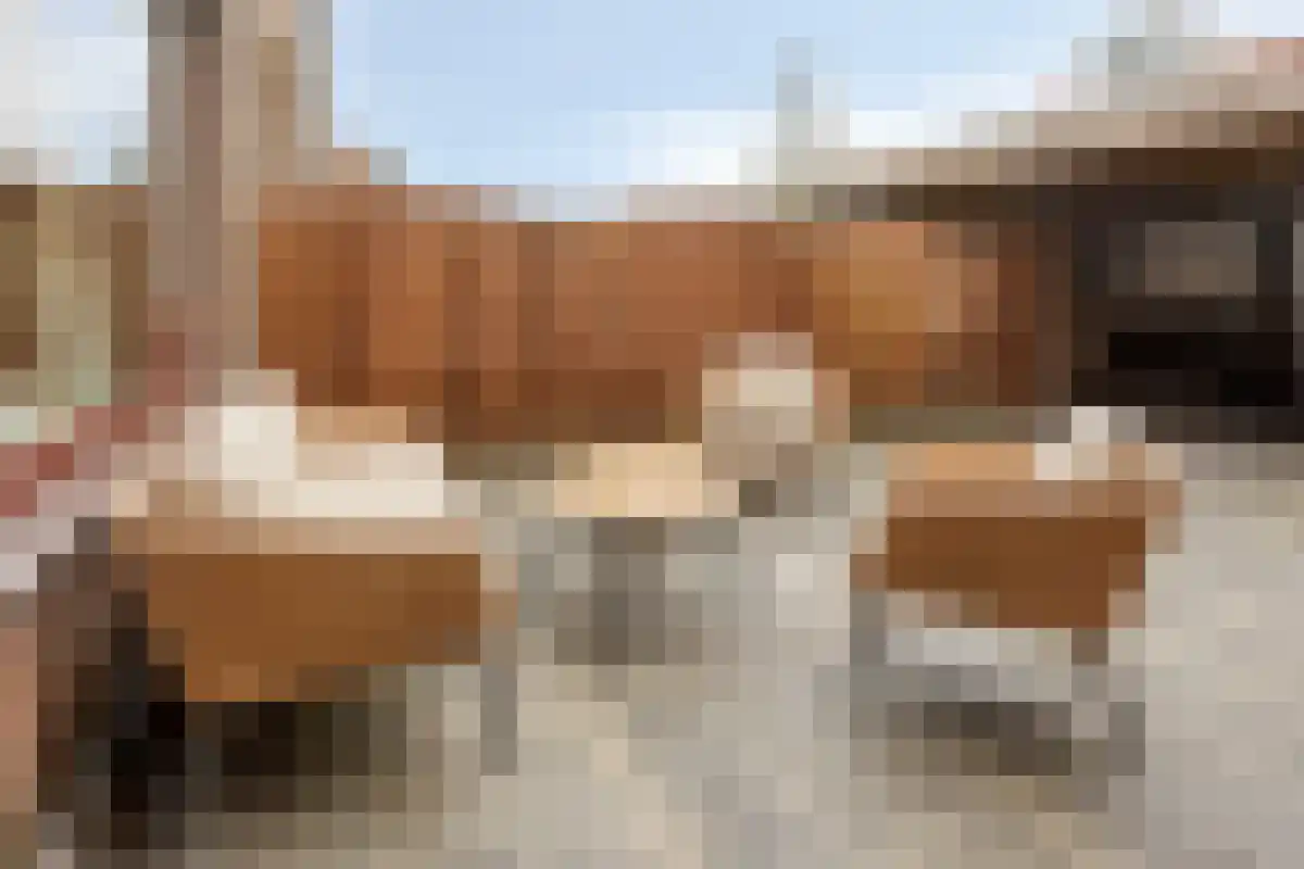 Meijer van Leeuwenstraat 17 Oss thumbnail 23