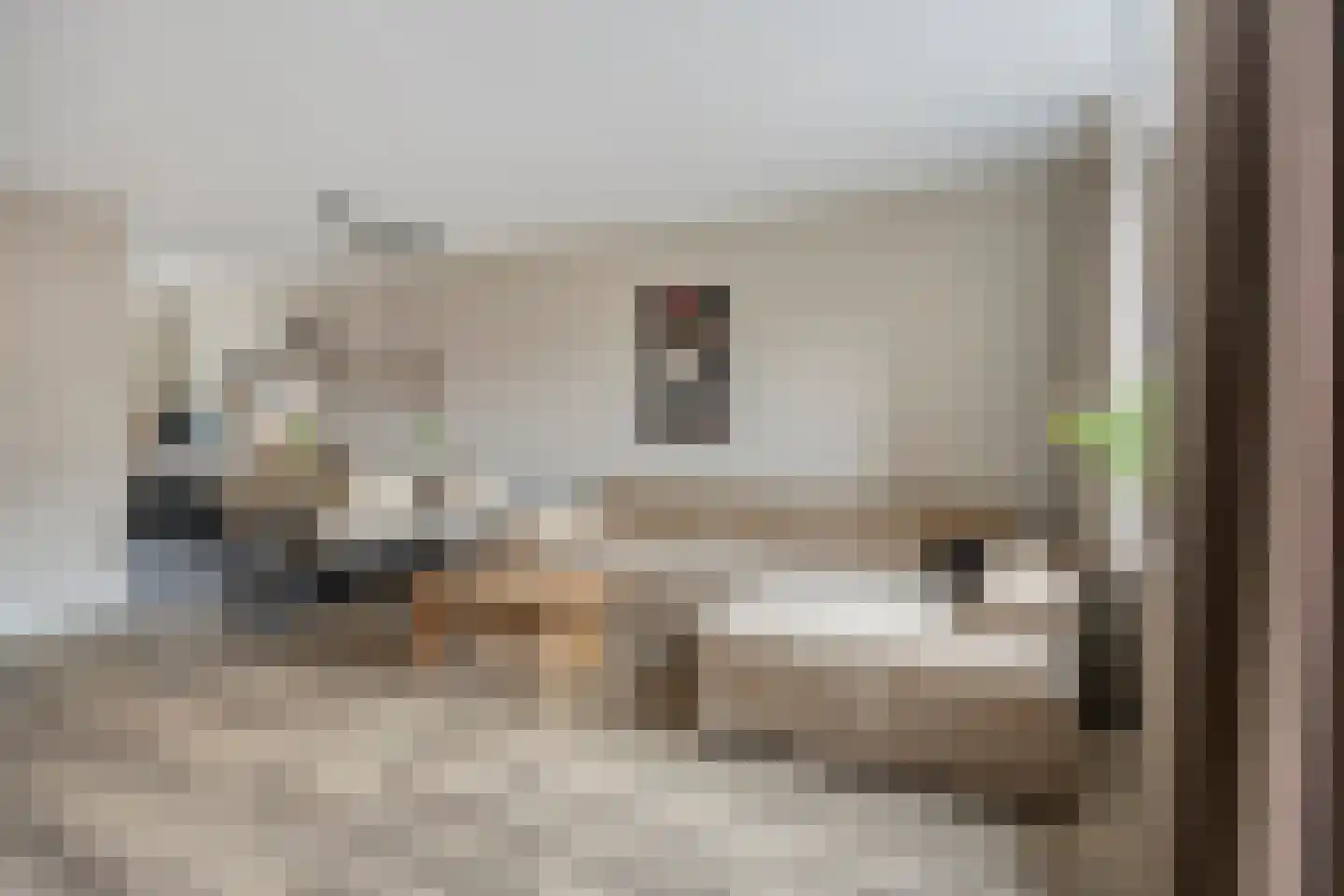 Meijer van Leeuwenstraat 17 Oss thumbnail 4