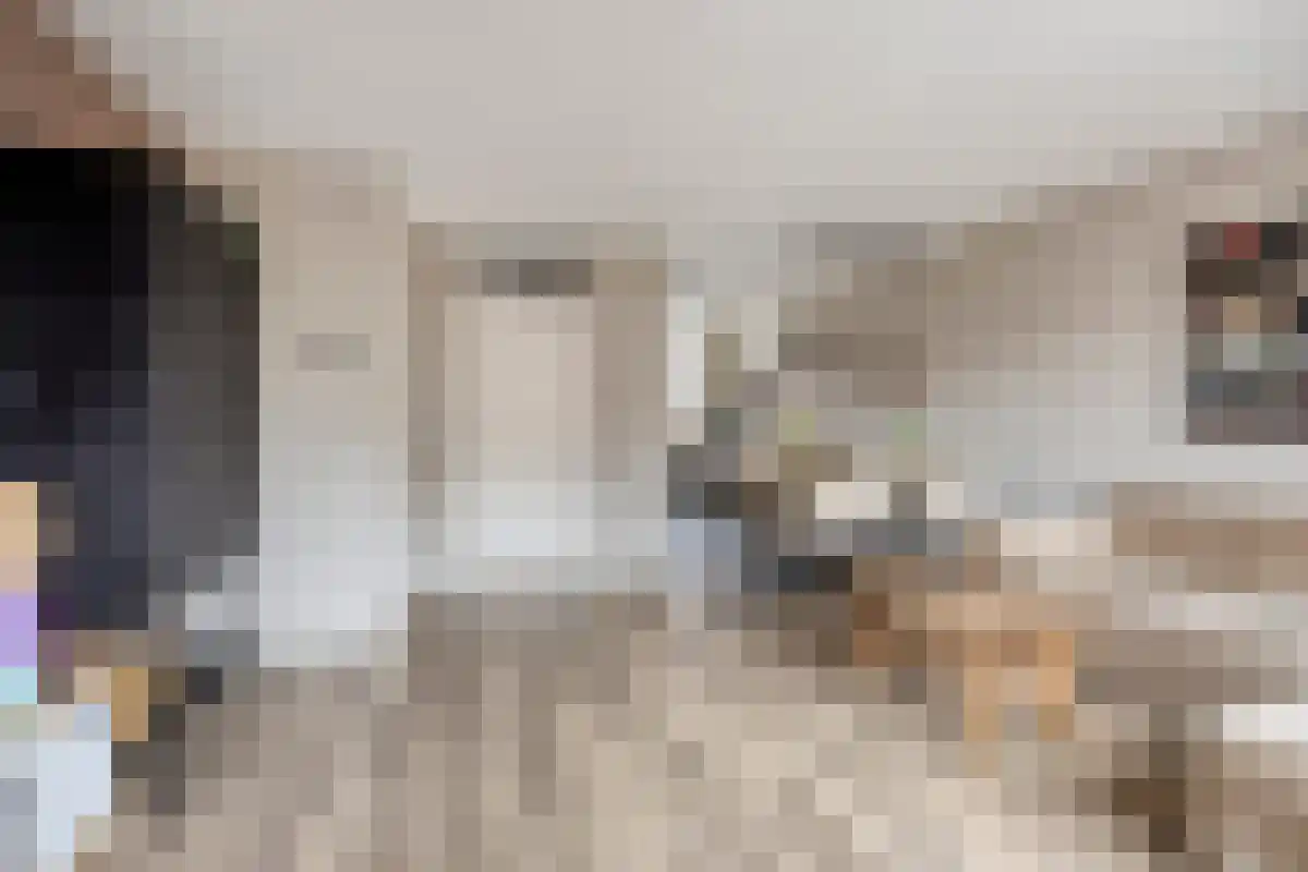 Meijer van Leeuwenstraat 17 Oss thumbnail 5