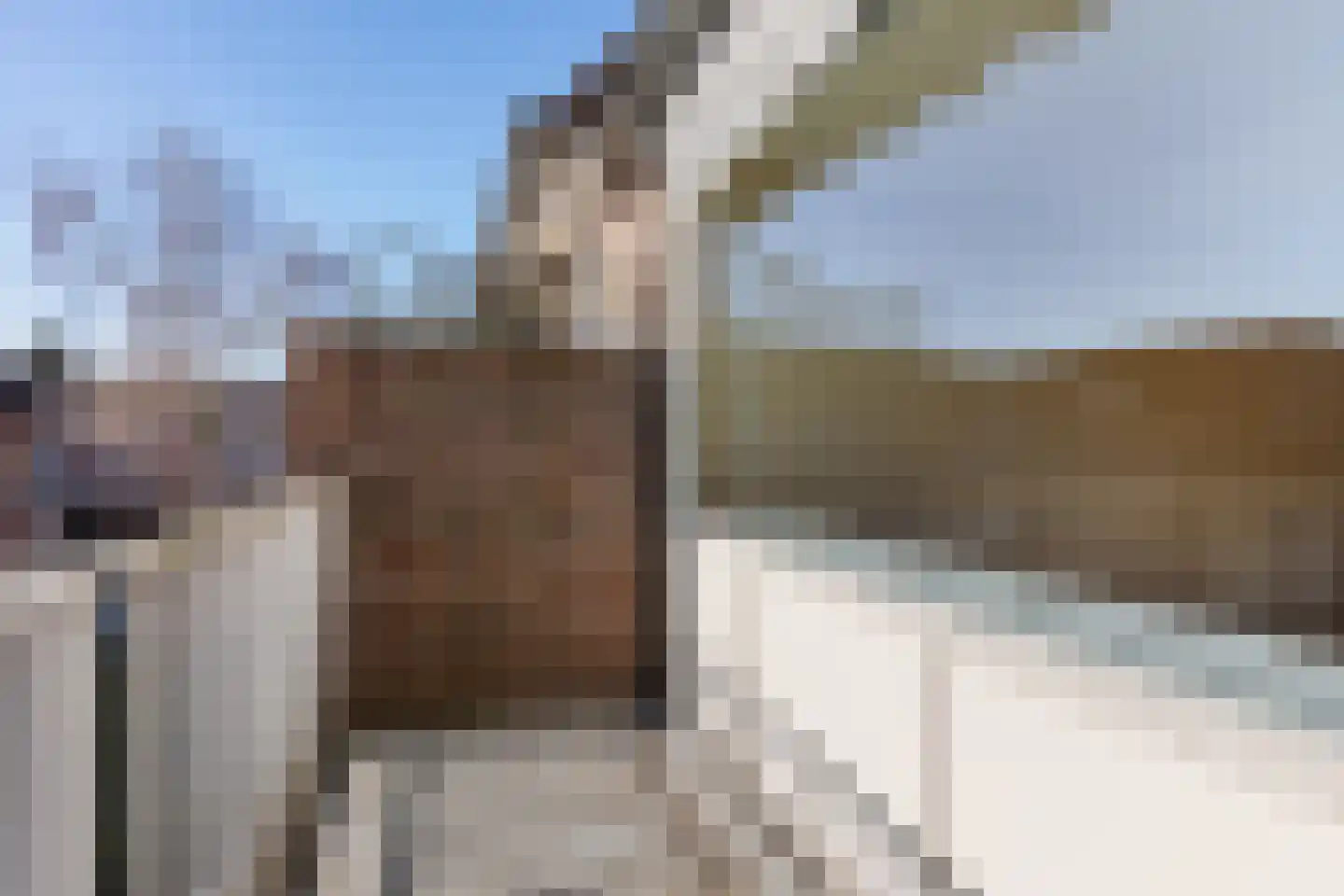 Meijer van Leeuwenstraat 18 Oss thumbnail 5