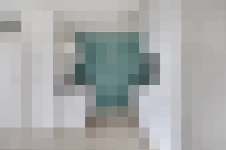 Meijer van Leeuwenstraat 20 Oss thumbnail 15