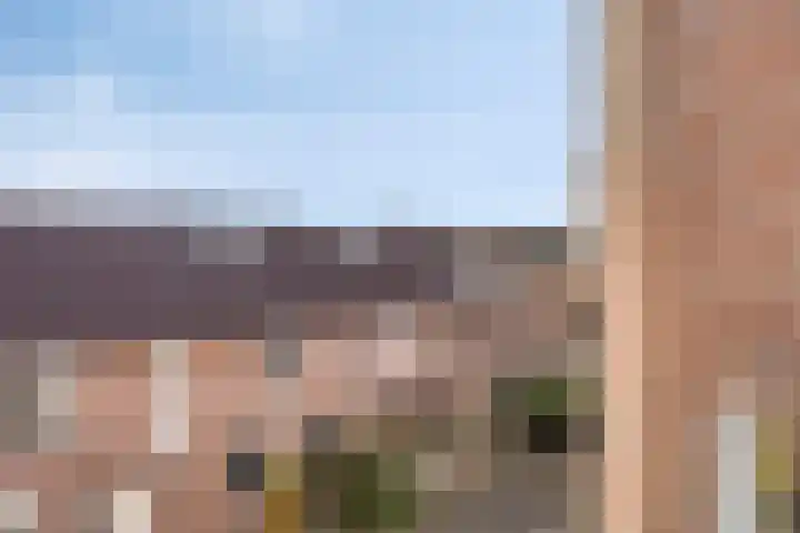 Meijer van Leeuwenstraat 20 Oss thumbnail 20