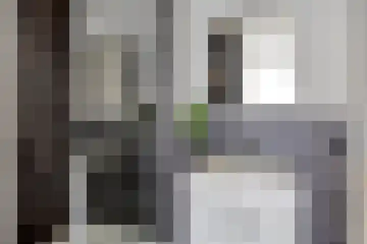 Meijer van Leeuwenstraat 20 Oss thumbnail 22