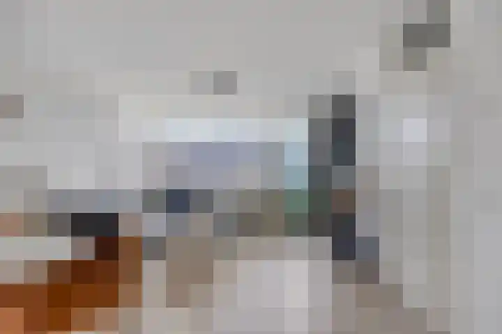 Meijer van Leeuwenstraat 20 Oss thumbnail 9