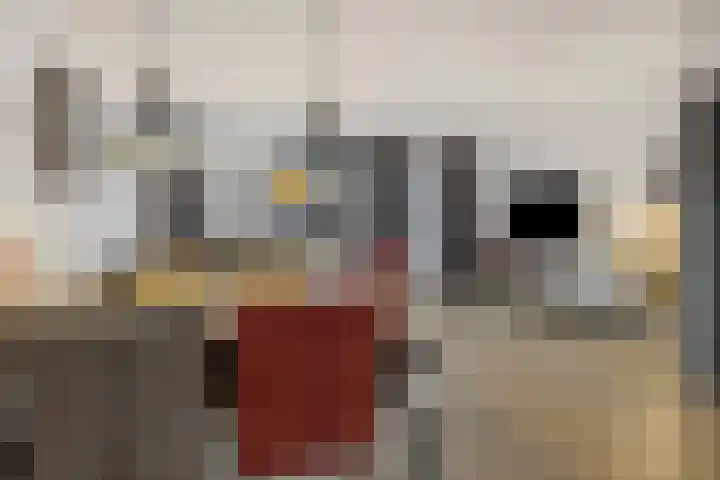 Meijer van Leeuwenstraat 27 Oss thumbnail 11