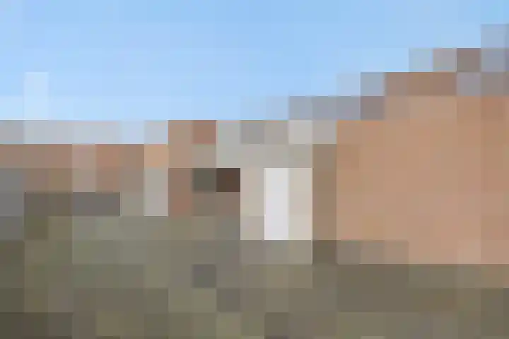 Meijer van Leeuwenstraat 27 Oss thumbnail 18