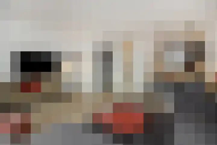 Meijer van Leeuwenstraat 27 Oss thumbnail 20