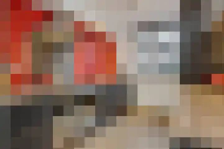 Meijer van Leeuwenstraat 27 Oss thumbnail 22