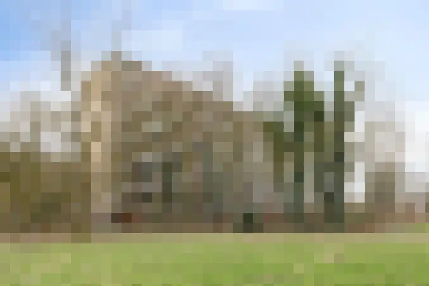 Meijer van Leeuwenstraat 27 Oss thumbnail 23