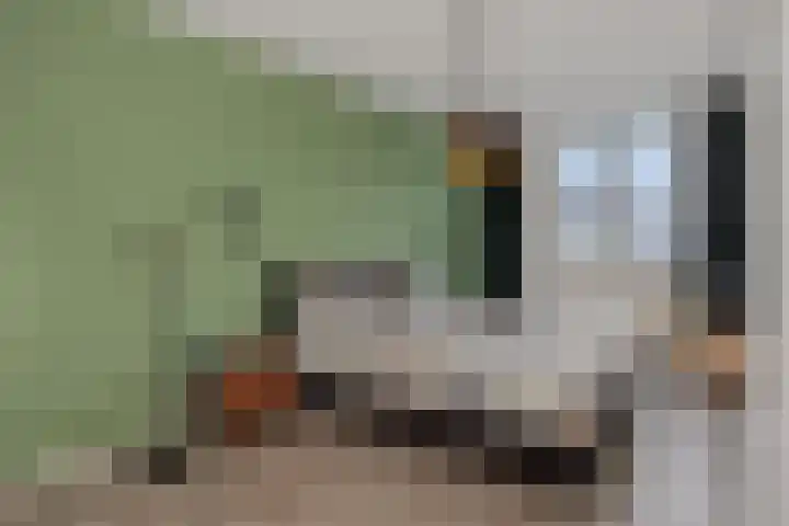 Meijer van Leeuwenstraat 27 Oss thumbnail 25