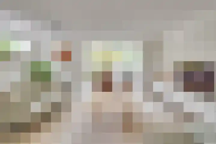 Meijer van Leeuwenstraat 27 Oss thumbnail 26