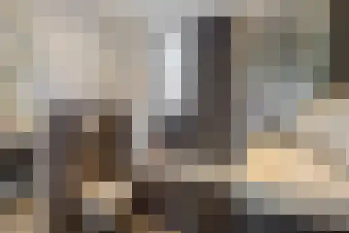 Meijer van Leeuwenstraat 27 Oss thumbnail 27