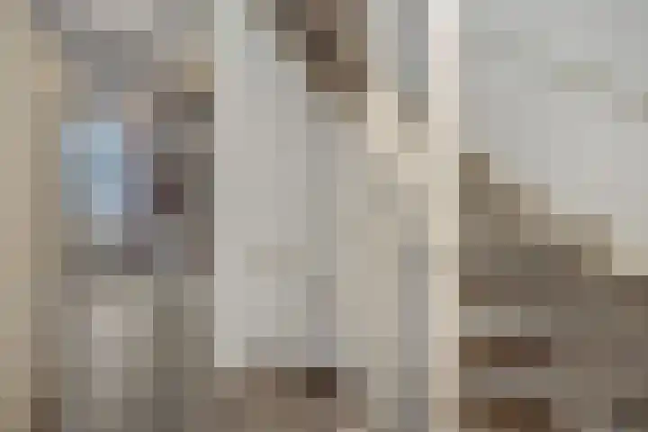 Meijer van Leeuwenstraat 27 Oss thumbnail 30