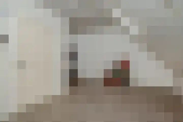 Meijer van Leeuwenstraat 27 Oss thumbnail 31