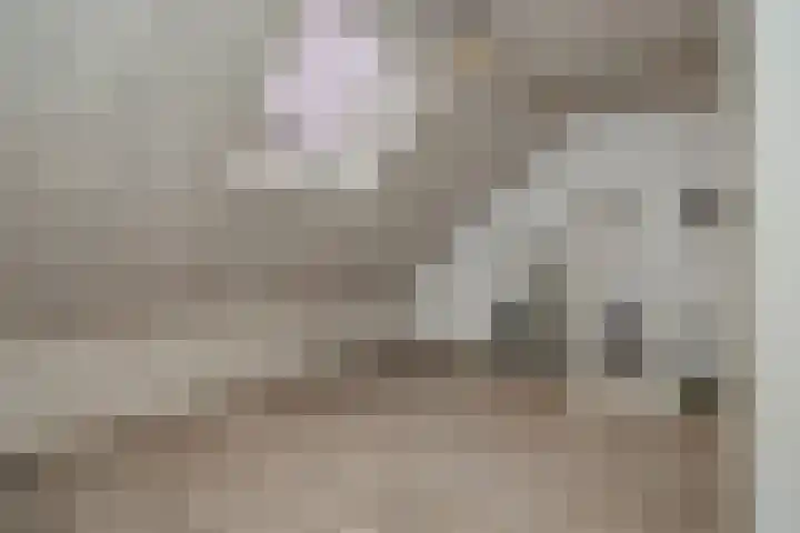 Meijer van Leeuwenstraat 27 Oss thumbnail 32