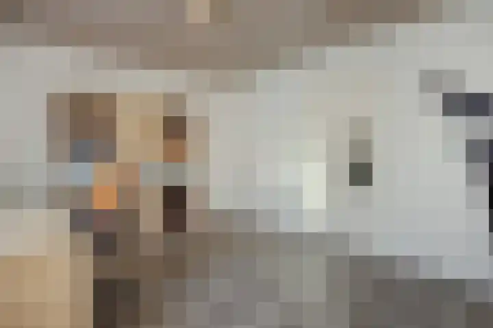 Meijer van Leeuwenstraat 27 Oss thumbnail 33