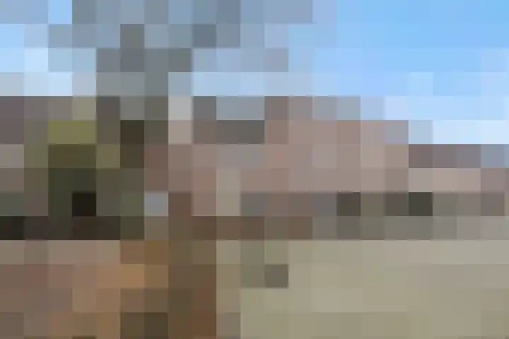 Meijer van Leeuwenstraat 27 Oss thumbnail 5