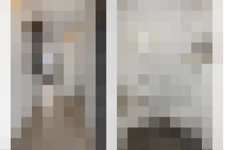 Meijer van Leeuwenstraat 27 Oss thumbnail 8