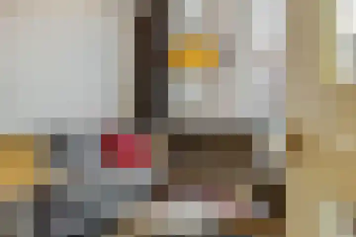Meijer van Leeuwenstraat 27 Oss thumbnail 9