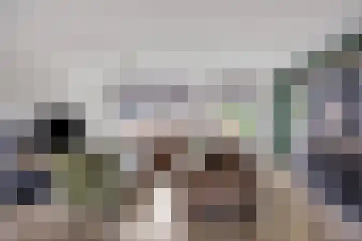Meijer van Leeuwenstraat 4 Oss thumbnail 14