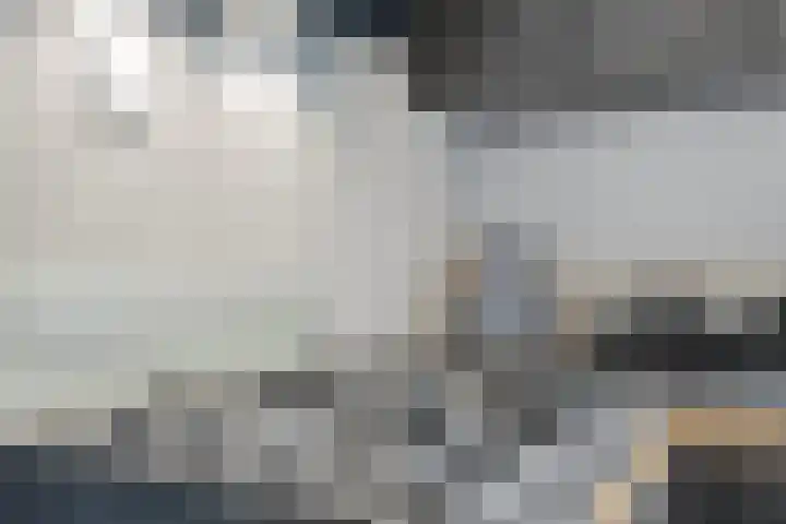 Meijer van Leeuwenstraat 4 Oss thumbnail 16