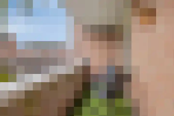 Meijer van Leeuwenstraat 4 Oss thumbnail 17