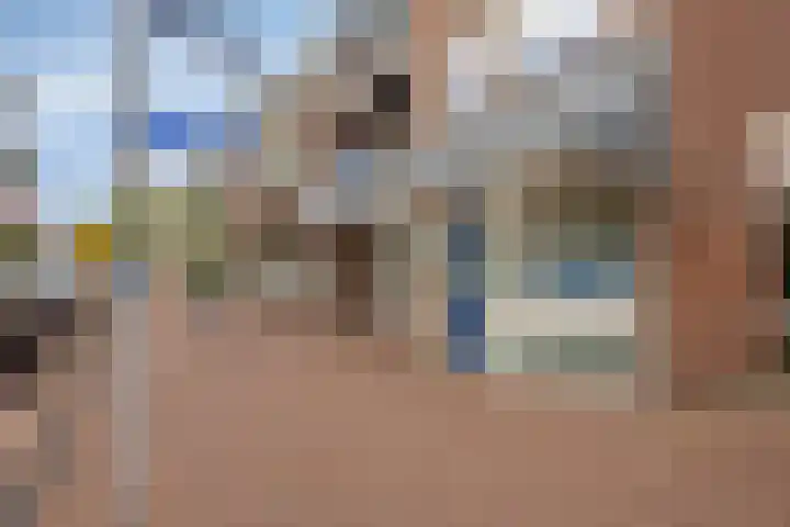 Meijer van Leeuwenstraat 4 Oss thumbnail 24