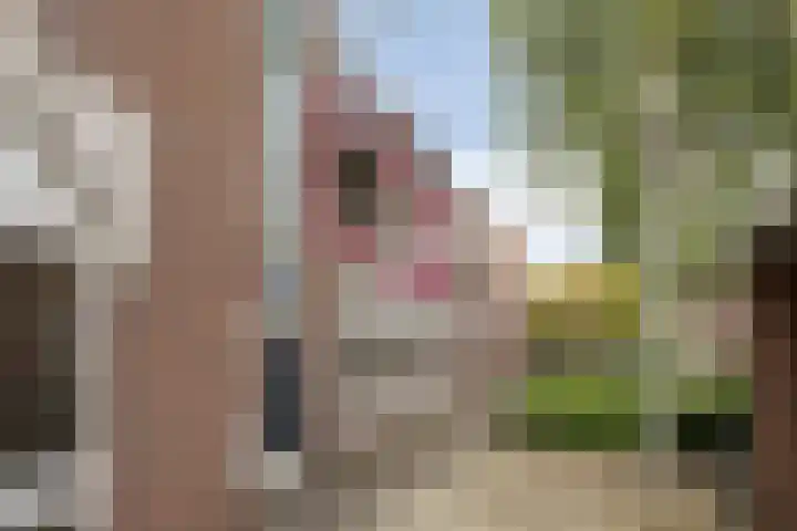 Meijer van Leeuwenstraat 4 Oss thumbnail 26