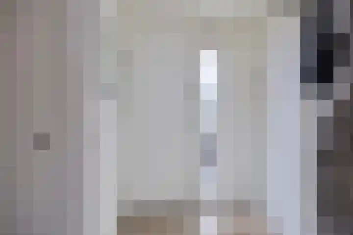 Meijer van Leeuwenstraat 4 Oss thumbnail 7