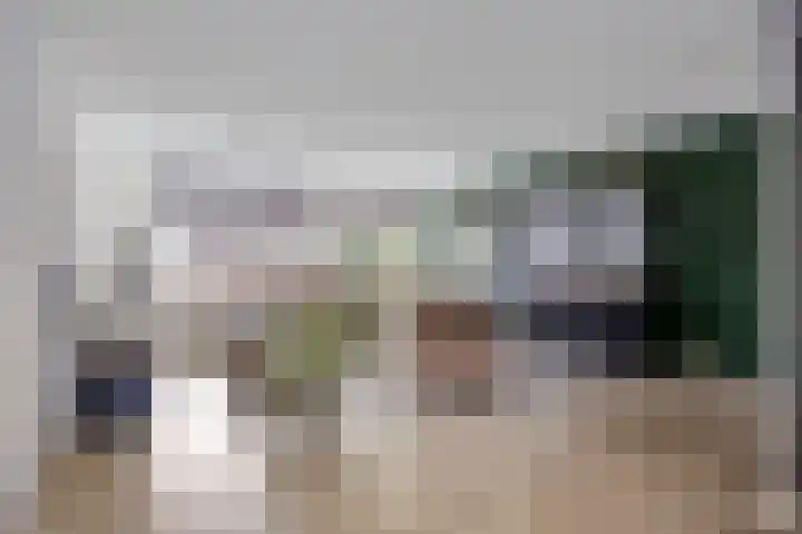 Meijer van Leeuwenstraat 4 Oss thumbnail 9