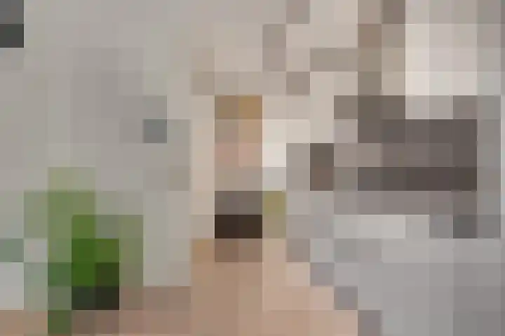 Meijer van Leeuwenstraat 40 Oss thumbnail 15