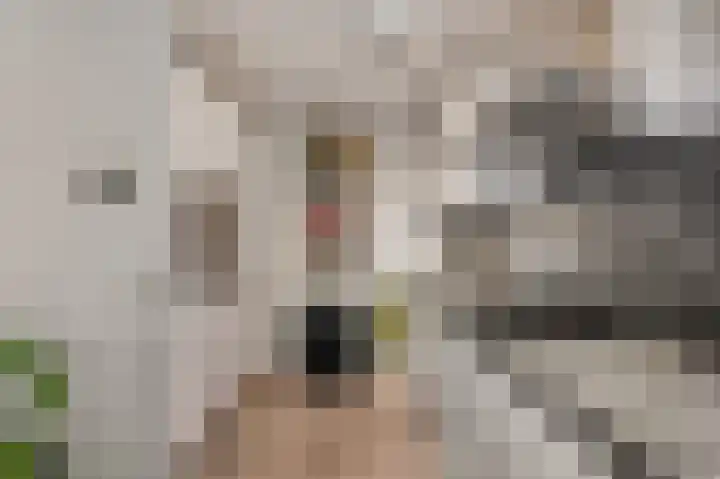 Meijer van Leeuwenstraat 40 Oss thumbnail 16