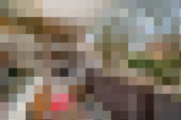 Meijer van Leeuwenstraat 40 Oss thumbnail 4