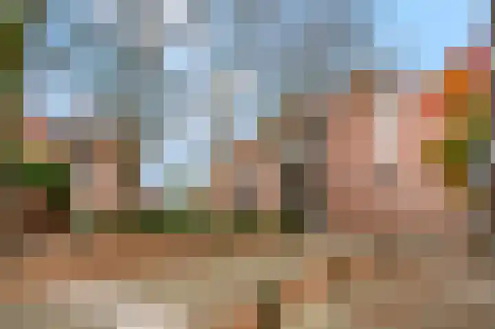 Meijer van Leeuwenstraat 40 Oss thumbnail 5