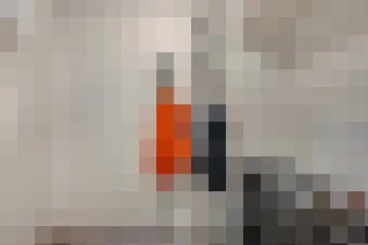 Meijer van Leeuwenstraat 40 Oss thumbnail 8