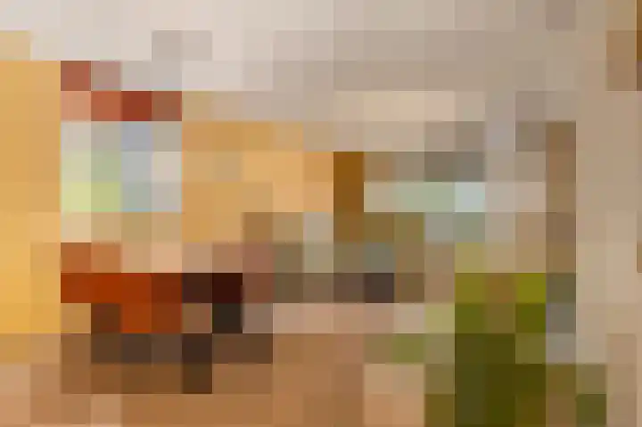 Meijer van Leeuwenstraat 40 Oss thumbnail 9