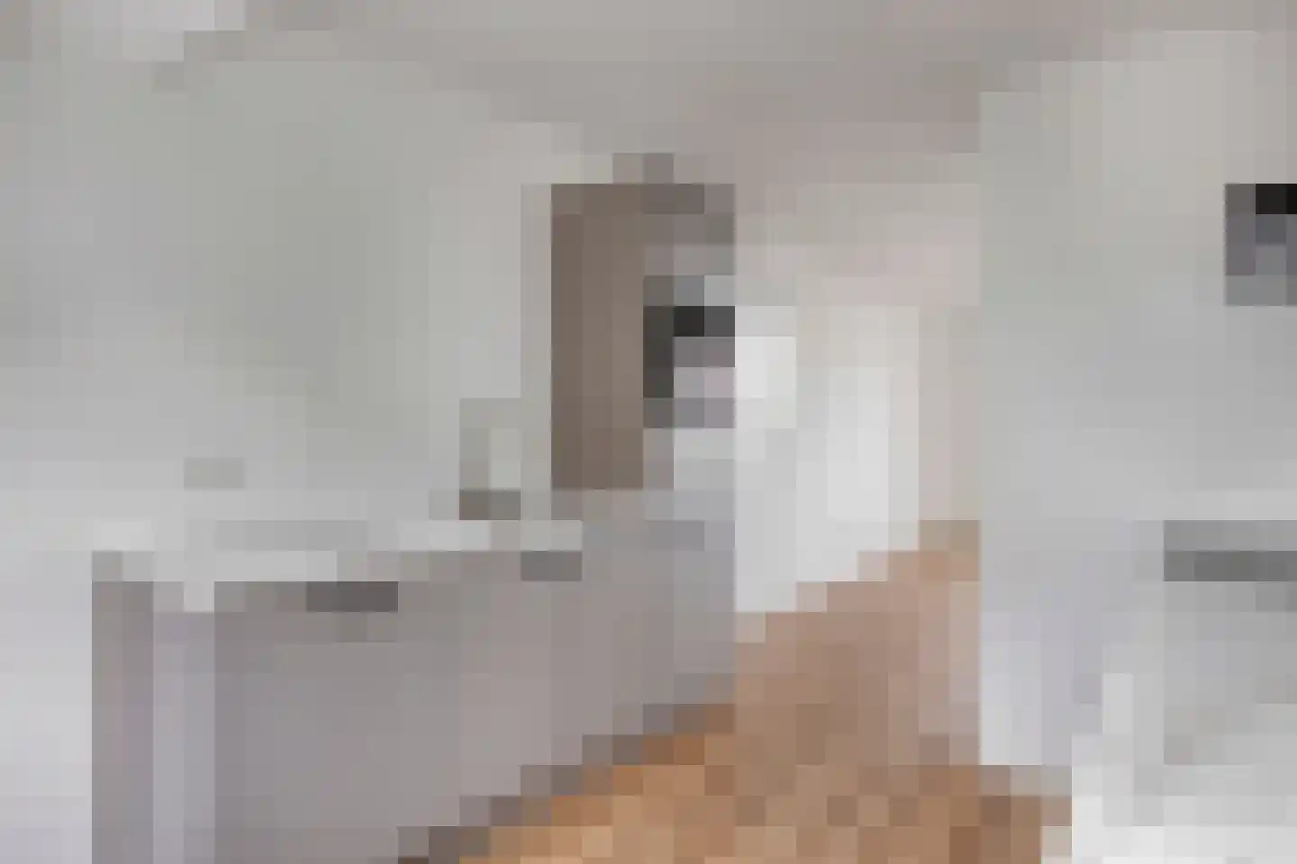 Meijer van Leeuwenstraat 46 Oss thumbnail 11