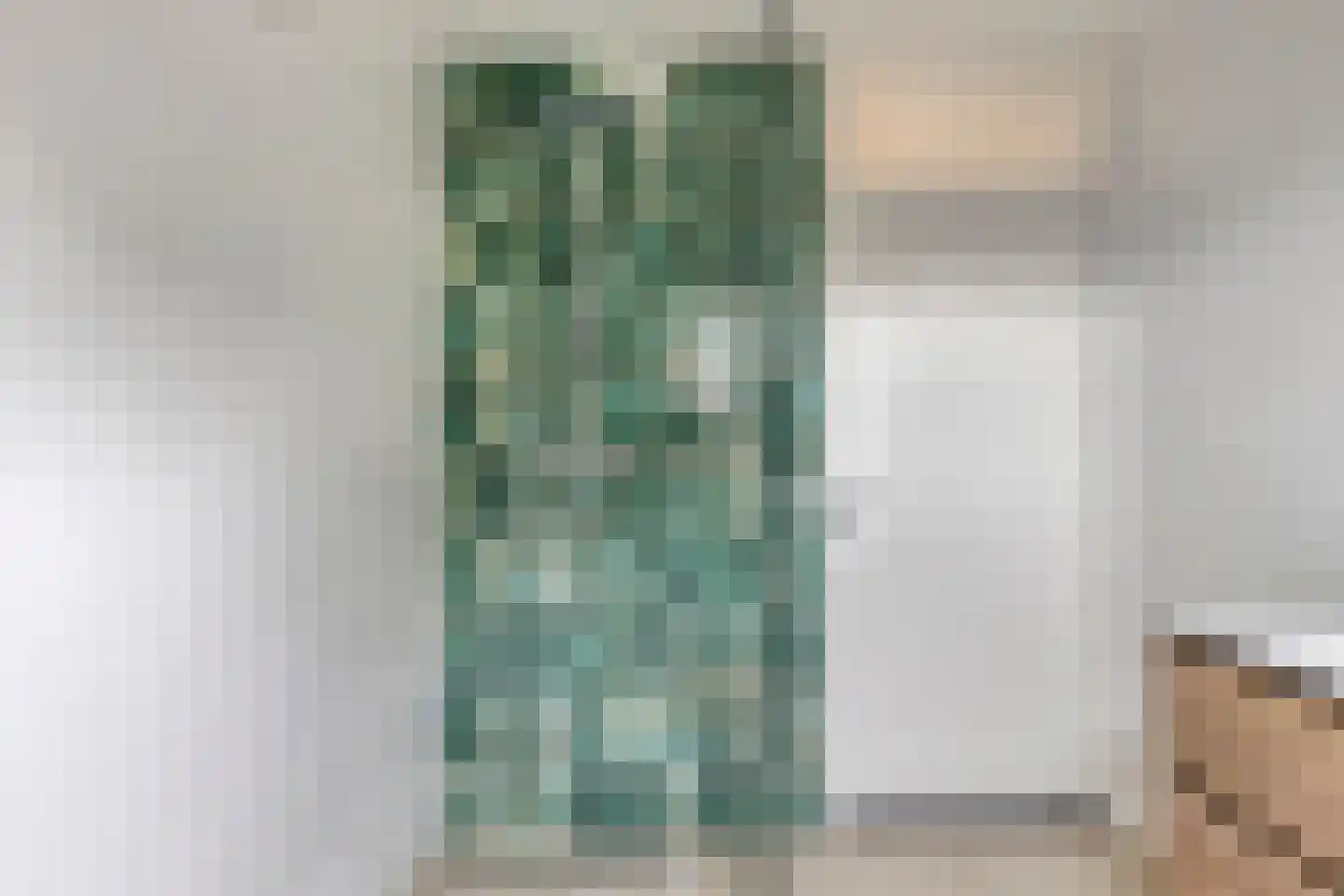 Meijer van Leeuwenstraat 46 Oss thumbnail 17