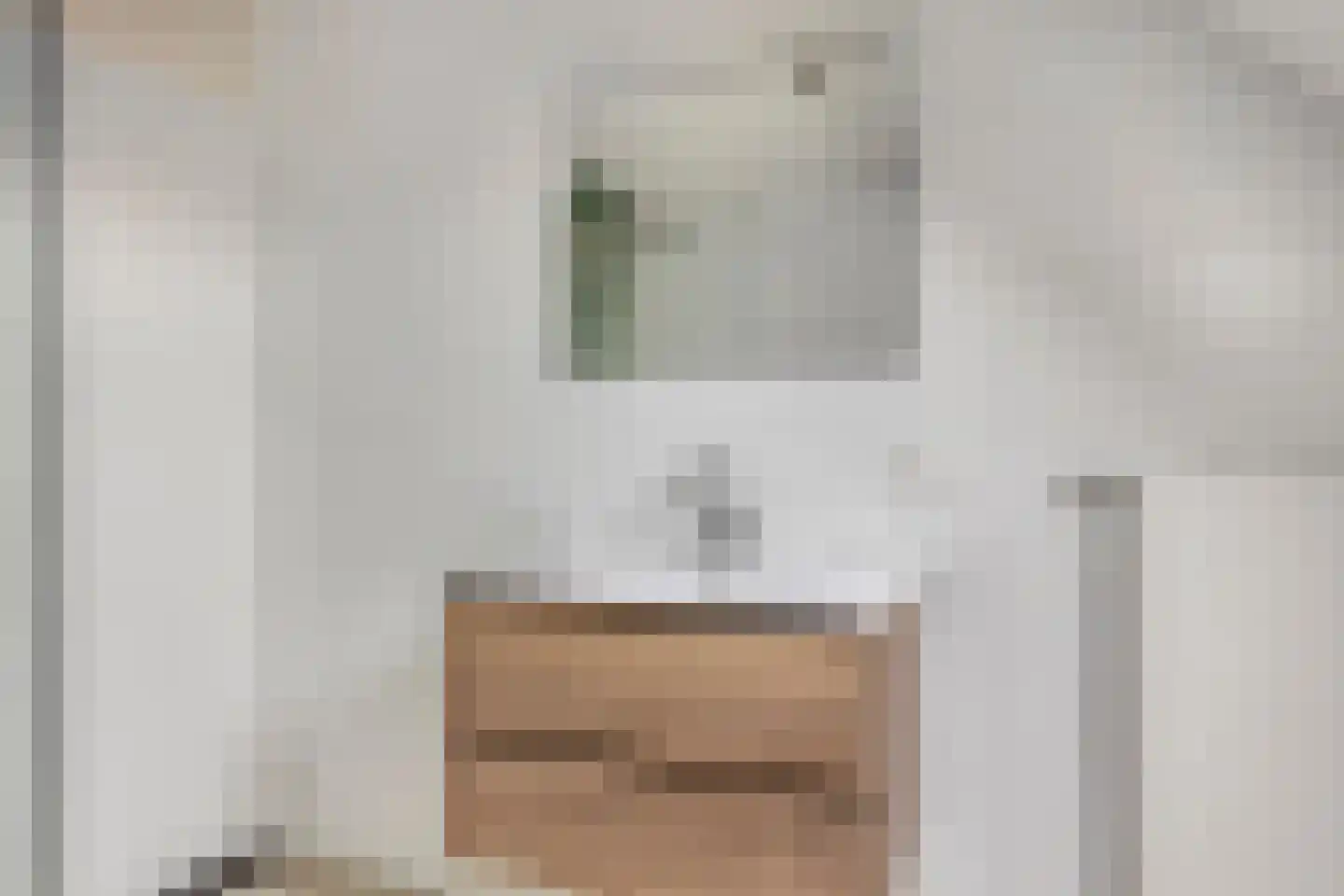 Meijer van Leeuwenstraat 46 Oss thumbnail 19