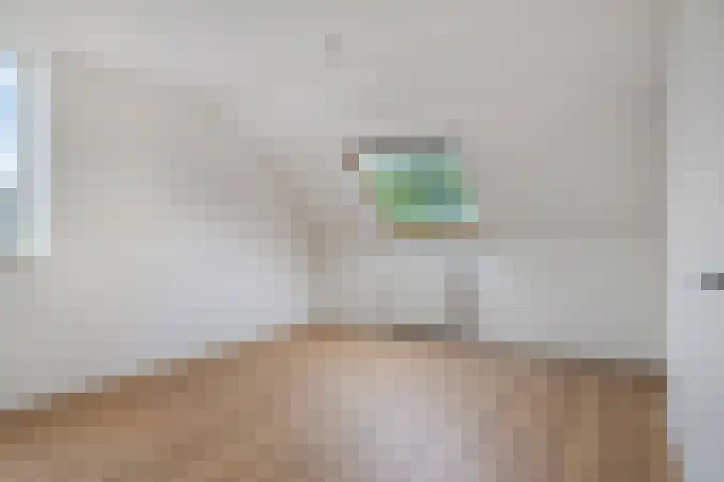 Meijer van Leeuwenstraat 46 Oss thumbnail 5