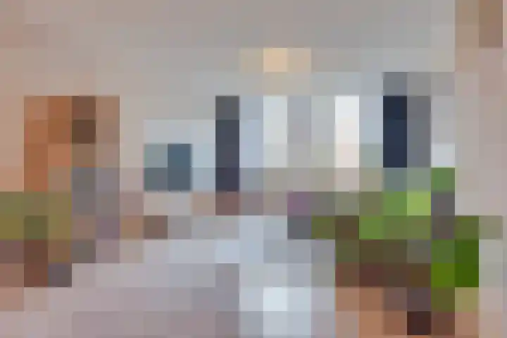 Meijer van Leeuwenstraat 57 Oss thumbnail 11