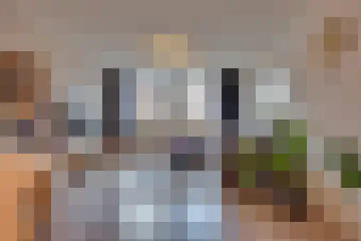 Meijer van Leeuwenstraat 57 Oss thumbnail 12